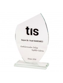Kristal Cam Plaket